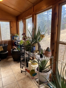 Mountain Home for Sale in Silver Cliff Ranch - image 33