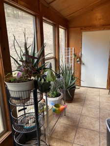 Mountain Home for Sale in Silver Cliff Ranch - image 34