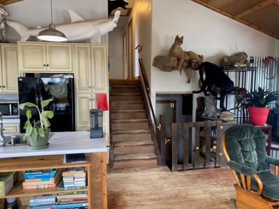 Mountain Home for Sale in Silver Cliff Ranch - image 3