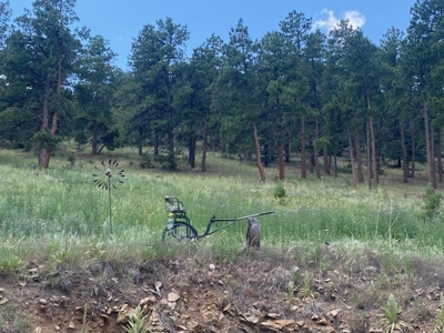 Mountain Home for Sale in Silver Cliff Ranch - image 37