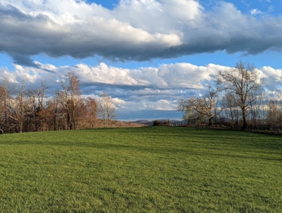 Country Home for Sale in Floyd County VA - image 5