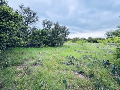 Lot 125 The Hideout Golf Course Lake Brownwood, TX - image 9