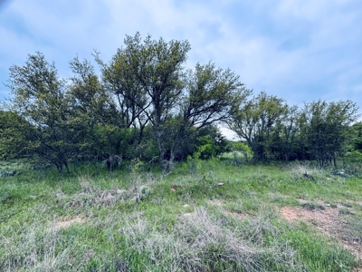 Lot 125 The Hideout Golf Course Lake Brownwood, TX - image 7