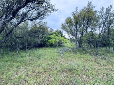 Lot 125 The Hideout Golf Course Lake Brownwood, TX - image 10
