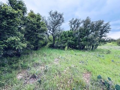 Lot 125 The Hideout Golf Course Lake Brownwood, TX - image 8