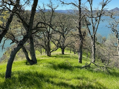 Napa County Recreational & Hunting Properties for Sale - image 7