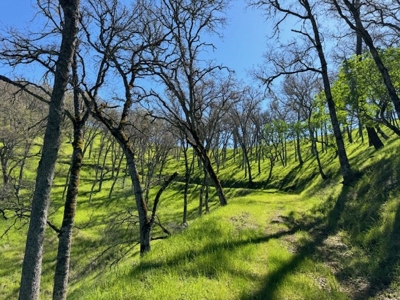 Napa County Recreational & Hunting Properties for Sale - image 18