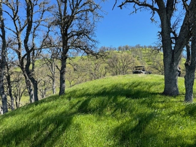 Napa County Recreational & Hunting Properties for Sale - image 12