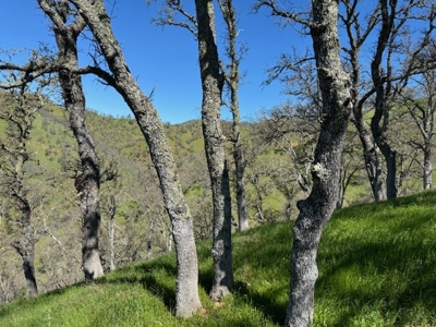 Napa County Recreational & Hunting Properties for Sale - image 11