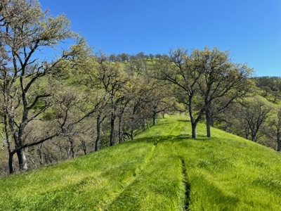 Napa County Recreational & Hunting Properties for Sale - image 6
