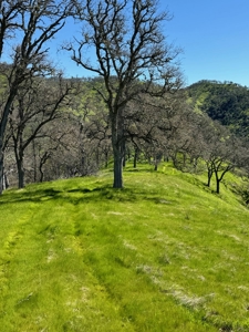 Napa County Recreational & Hunting Properties for Sale - image 21