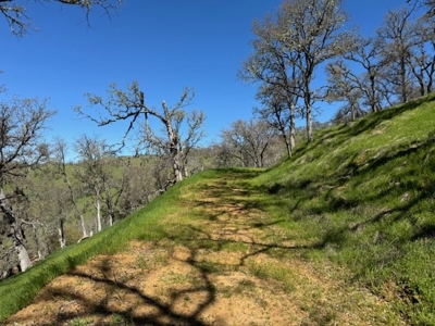 Napa County Recreational & Hunting Properties for Sale - image 19