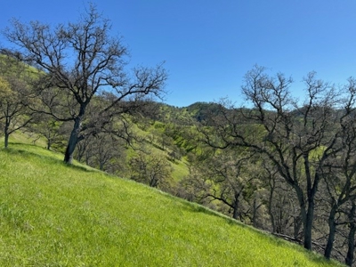 Napa County Recreational & Hunting Properties for Sale - image 14