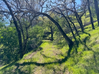 Napa County Recreational & Hunting Properties for Sale - image 17