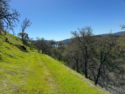 Napa County Recreational & Hunting Properties for Sale - image 8