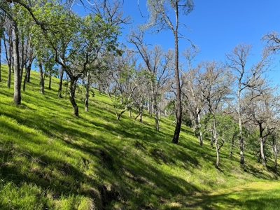 Napa County Recreational & Hunting Properties for Sale - image 5