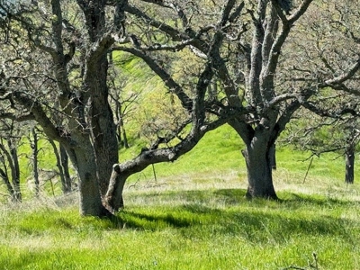 Napa County Recreational & Hunting Properties for Sale - image 15