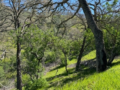 Napa County Recreational & Hunting Properties for Sale - image 16