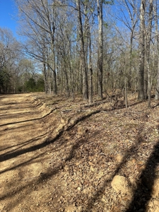 Vacant land for sale in Oregon County, Missouri - image 3