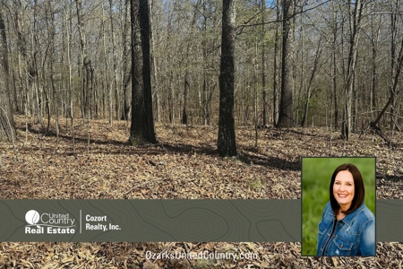 Vacant land for sale in Oregon County, Missouri - image 1