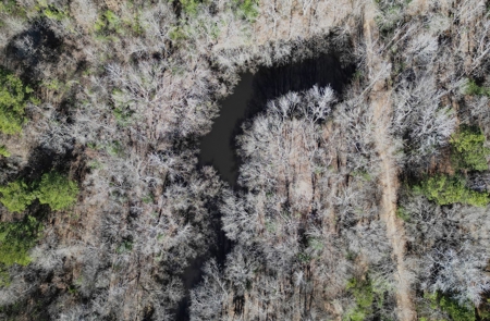 546.23 Acres Of Cass County Hunting/Timber/Recreational Land - image 11