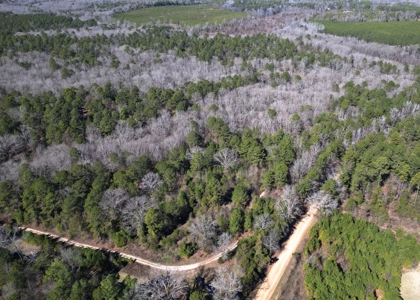 546.23 Acres Of Cass County Hunting/Timber/Recreational Land - image 17