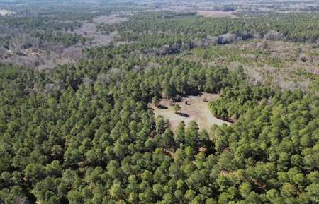 546.23 Acres Of Cass County Hunting/Timber/Recreational Land - image 4