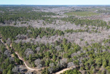 546.23 Acres Of Cass County Hunting/Timber/Recreational Land - image 18