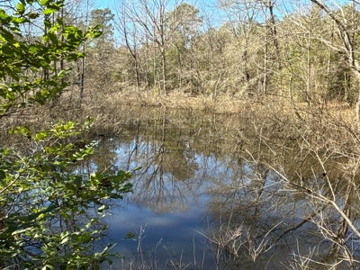 546.23 Acres Of Cass County Hunting/Timber/Recreational Land - image 20