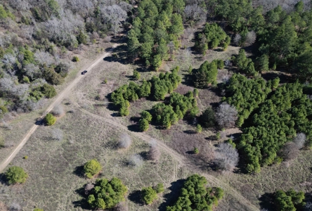 546.23 Acres Of Cass County Hunting/Timber/Recreational Land - image 14