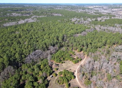 546.23 Acres Of Cass County Hunting/Timber/Recreational Land - image 15