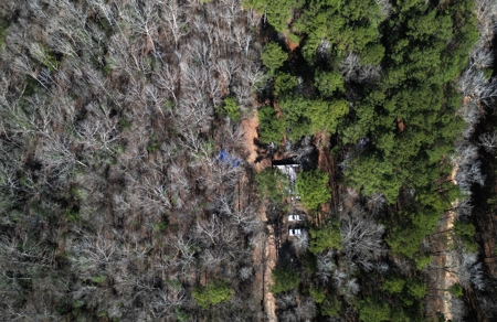 546.23 Acres Of Cass County Hunting/Timber/Recreational Land - image 19