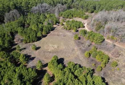 546.23 Acres Of Cass County Hunting/Timber/Recreational Land - image 13