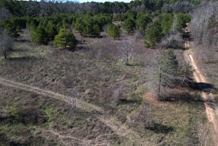546.23 Acres Of Cass County Hunting/Timber/Recreational Land - image 16