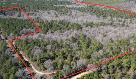 546.23 Acres Of Cass County Hunting/Timber/Recreational Land - image 1