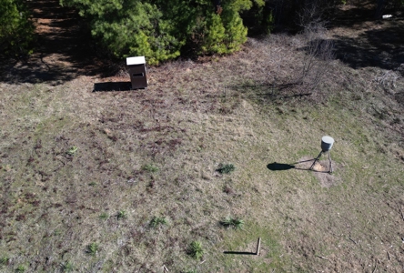 546.23 Acres Of Cass County Hunting/Timber/Recreational Land - image 8