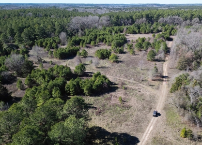 546.23 Acres Of Cass County Hunting/Timber/Recreational Land - image 12