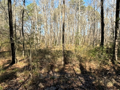 546.23 Acres Of Cass County Hunting/Timber/Recreational Land - image 23