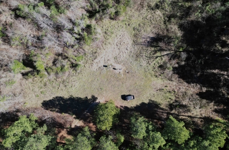 546.23 Acres Of Cass County Hunting/Timber/Recreational Land - image 3