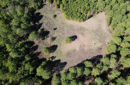 546.23 Acres Of Cass County Hunting/Timber/Recreational Land - image 7