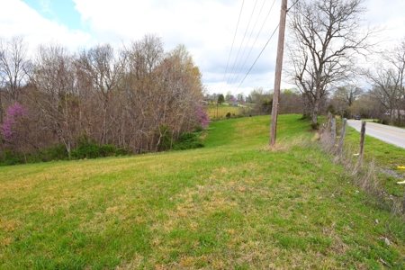 Hobby Farm, Hunting, Home Sites, 40.95 Acres, Creeks - image 42