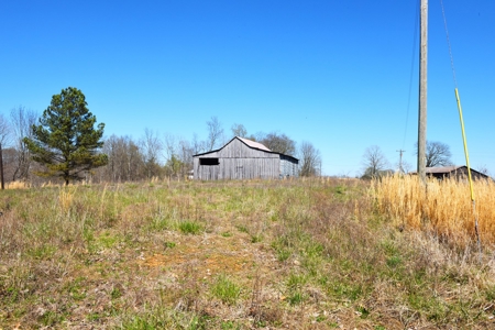 Hobby Farm, Hunting, Home Sites, 40.95 Acres, Creeks - image 23