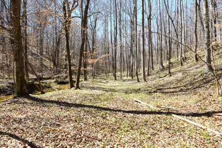 Hobby Farm, Hunting, Home Sites, 40.95 Acres, Creeks - image 3