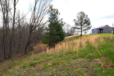 Hobby Farm, Hunting, Home Sites, 40.95 Acres, Creeks - image 38