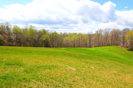 Hobby Farm, Hunting, Home Sites, 40.95 Acres, Creeks - image 48