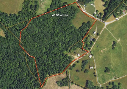 Hobby Farm, Hunting, Home Sites, 40.95 Acres, Creeks - image 5