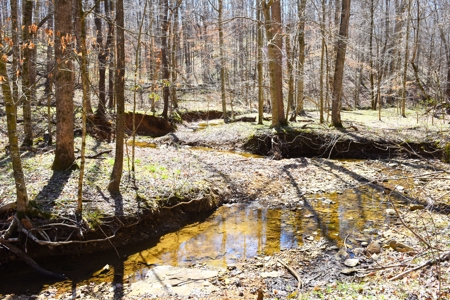 Hobby Farm, Hunting, Home Sites, 40.95 Acres, Creeks - image 20