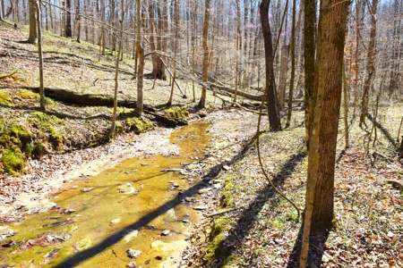 Hobby Farm, Hunting, Home Sites, 40.95 Acres, Creeks - image 19
