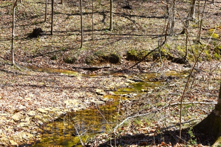 Hobby Farm, Hunting, Home Sites, 40.95 Acres, Creeks - image 16