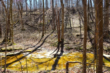 Hobby Farm, Hunting, Home Sites, 40.95 Acres, Creeks - image 12
